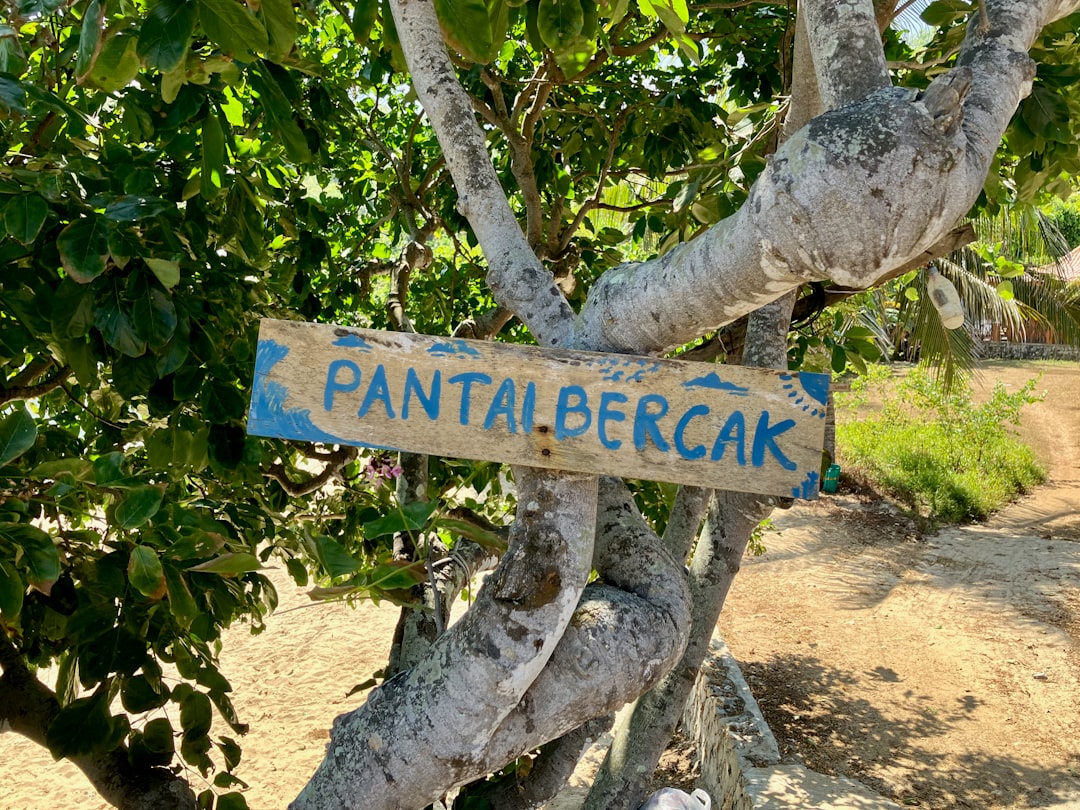 Photo Tropical paradise