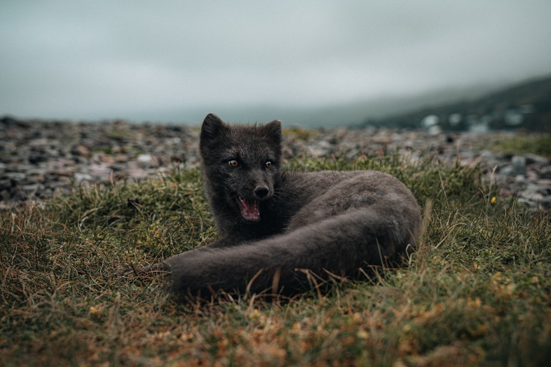 Photo Travel bloggers